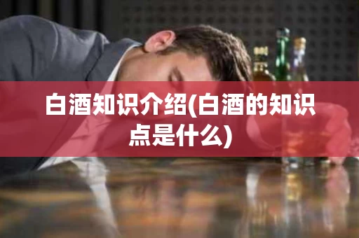 白酒知识介绍(白酒的知识点是什么)