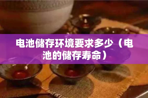 电池储存环境要求多少（电池的储存寿命）