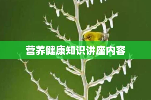 营养健康知识讲座内容