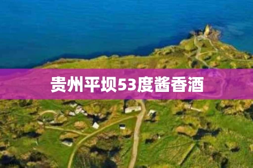 贵州平坝53度酱香酒