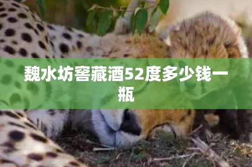 魏水坊窖藏酒52度多少钱一瓶