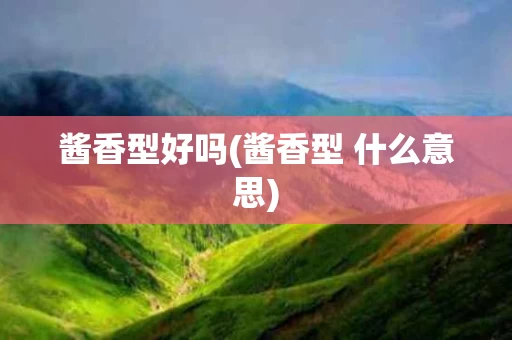 酱香型好吗(酱香型 什么意思)