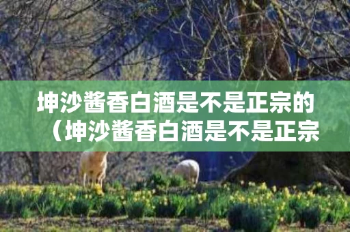 坤沙酱香白酒是不是正宗的（坤沙酱香白酒是不是正宗的酒）
