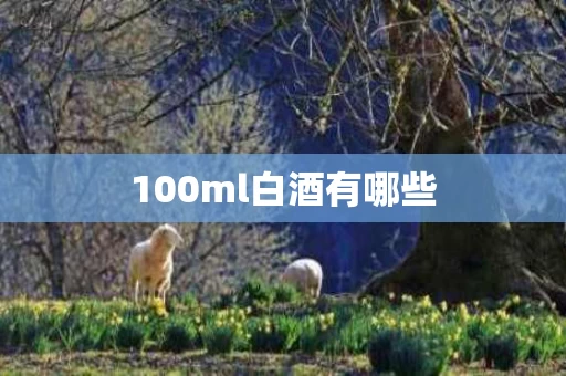 100ml白酒有哪些