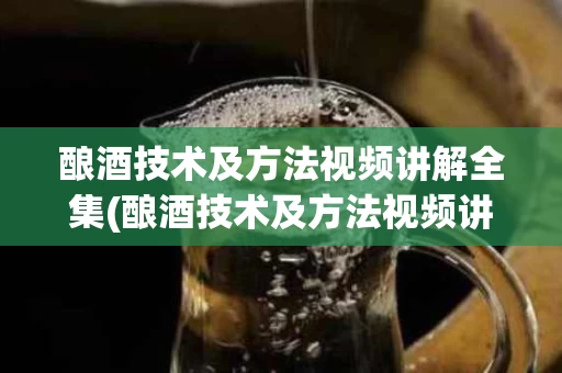 酿酒技术及方法视频讲解全集(酿酒技术及方法视频讲解全集大全)