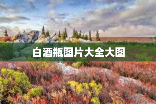 白酒瓶图片大全大图