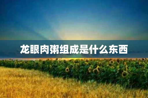 龙眼肉粥组成是什么东西