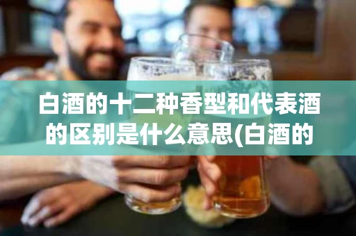 白酒的十二种香型和代表酒的区别是什么意思(白酒的十二个香型)