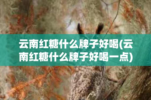云南红糖什么牌子好喝(云南红糖什么牌子好喝一点)