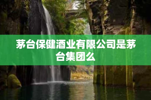 茅台保健酒业有限公司是茅台集团么