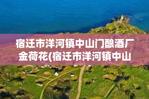 宿迁市洋河镇中山门酿酒厂金荷花(宿迁市洋河镇中山门酿酒厂金荷花酒红钻52度)