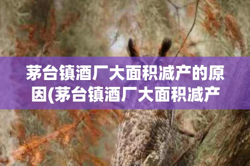 茅台镇酒厂大面积减产的原因(茅台镇酒厂大面积减产的原因有哪些)