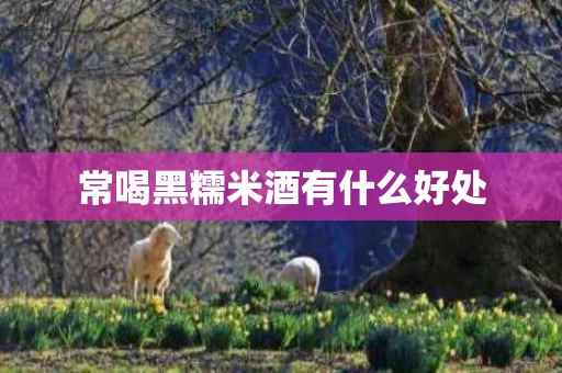 常喝黑糯米酒有什么好处