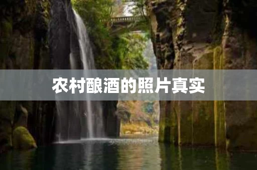 农村酿酒的照片真实