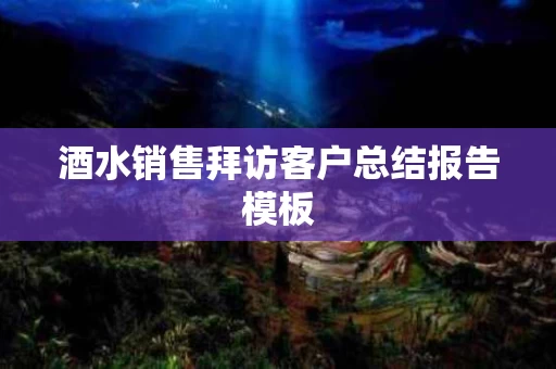 酒水销售拜访客户总结报告模板