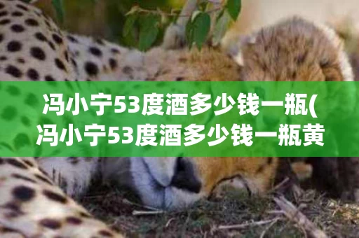 冯小宁53度酒多少钱一瓶(冯小宁53度酒多少钱一瓶黄盒)