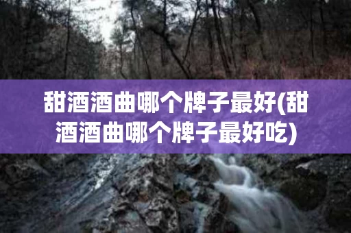甜酒酒曲哪个牌子最好(甜酒酒曲哪个牌子最好吃)