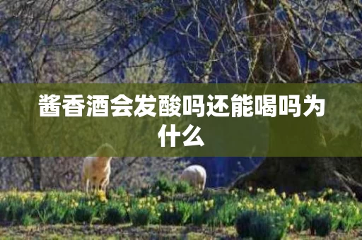 酱香酒会发酸吗还能喝吗为什么