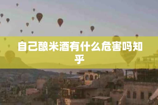 自己酿米酒有什么危害吗知乎
