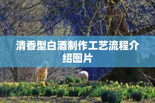 清香型白酒制作工艺流程介绍图片