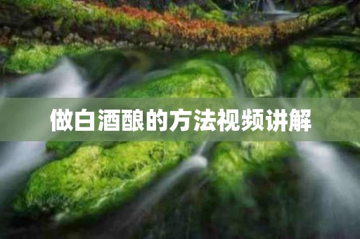 做白酒酿的方法视频讲解