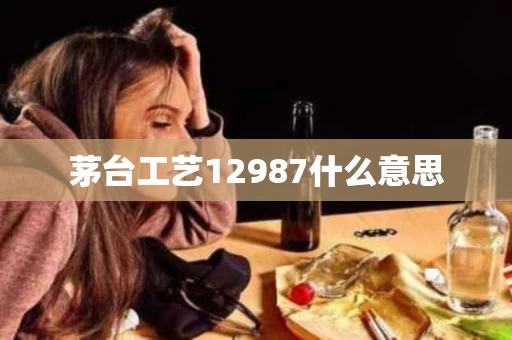 茅台工艺12987什么意思
