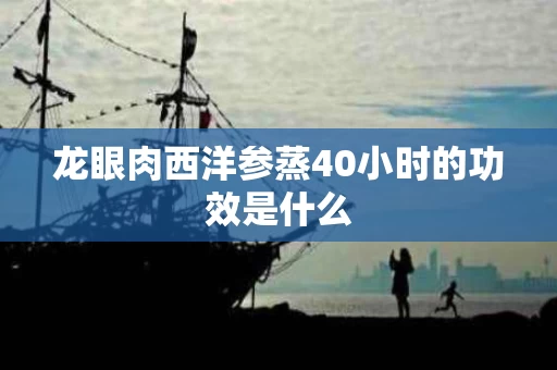 龙眼肉西洋参蒸40小时的功效是什么