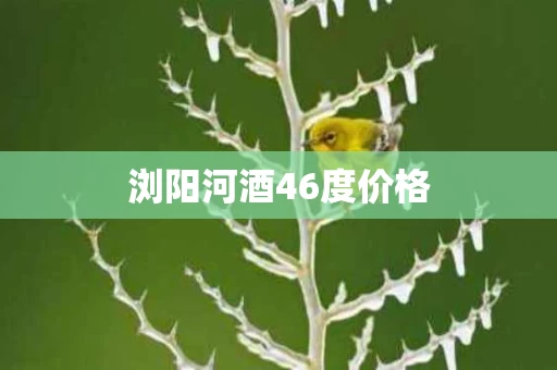 浏阳河酒46度价格