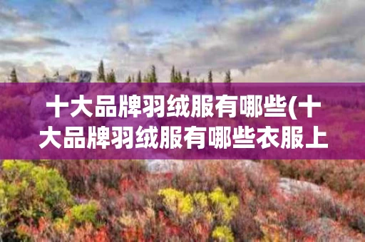 十大品牌羽绒服有哪些(十大品牌羽绒服有哪些衣服上有个布商标)