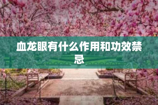 血龙眼有什么作用和功效禁忌