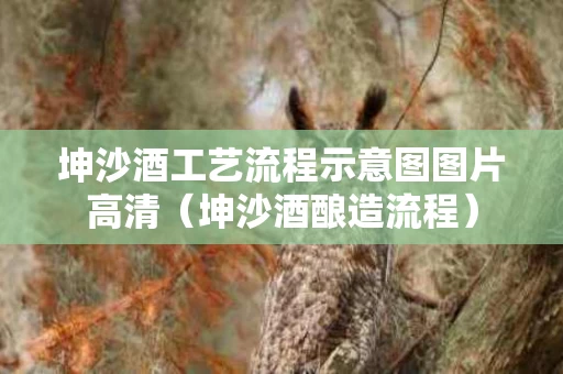 坤沙酒工艺流程示意图图片高清（坤沙酒酿造流程）