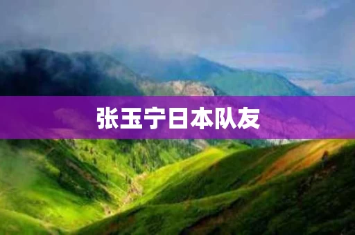 张玉宁日本队友