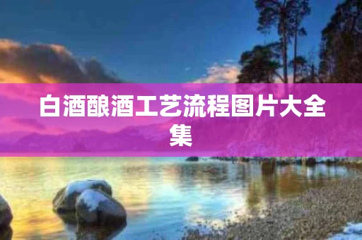 白酒酿酒工艺流程图片大全集