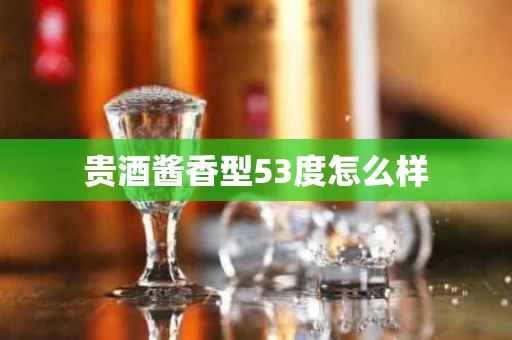 贵酒酱香型53度怎么样