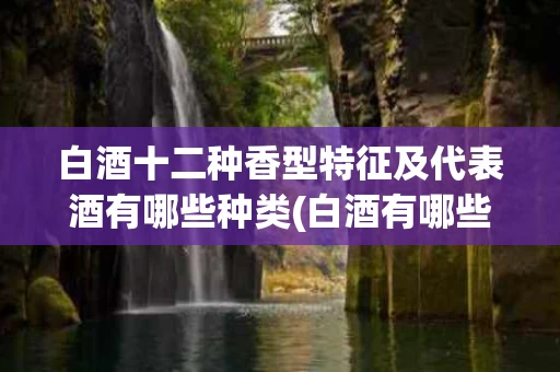 白酒十二种香型特征及代表酒有哪些种类(白酒有哪些主要香型?各代表酒是什么)