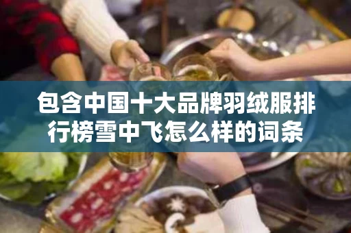 包含中国十大品牌羽绒服排行榜雪中飞怎么样的词条