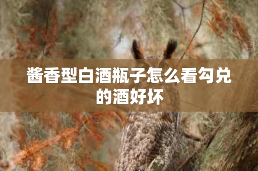 酱香型白酒瓶子怎么看勾兑的酒好坏