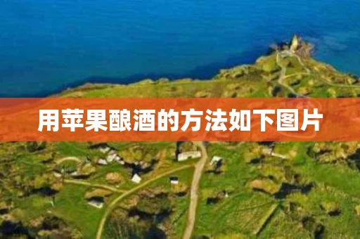 用苹果酿酒的方法如下图片
