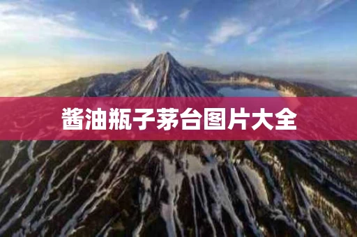 酱油瓶子茅台图片大全