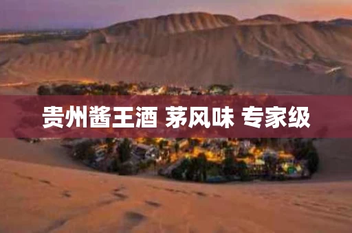 贵州酱王酒 茅风味 专家级