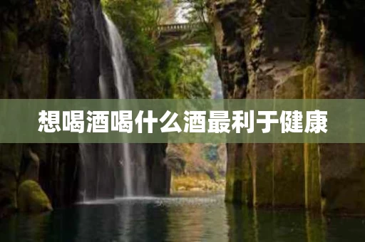想喝酒喝什么酒最利于健康
