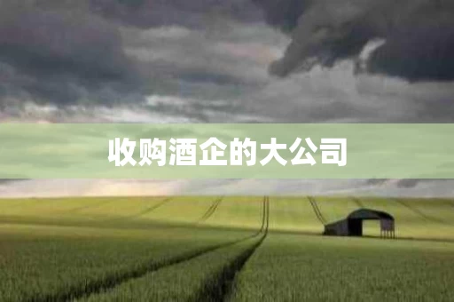 收购酒企的大公司