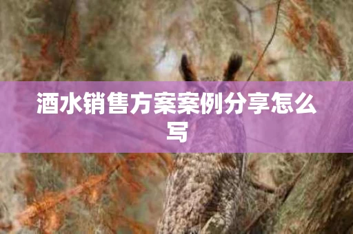 酒水销售方案案例分享怎么写