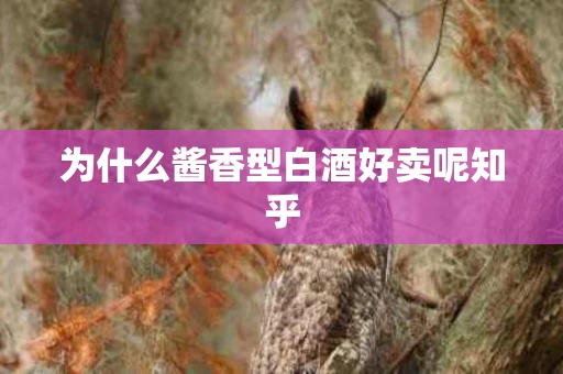 为什么酱香型白酒好卖呢知乎