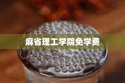 麻省理工学院免学费