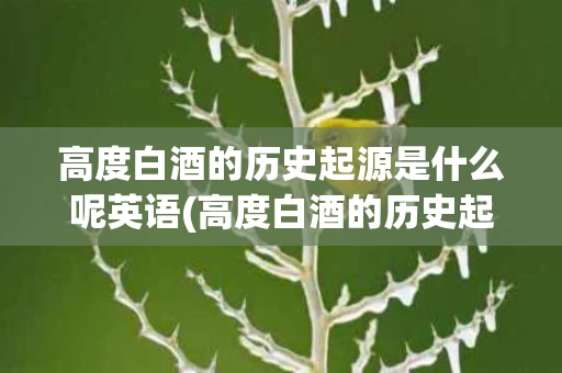 高度白酒的历史起源是什么呢英语(高度白酒的历史起源是什么呢英语怎么说) 高度白酒的历史起源是什么呢英语(高度白酒的历史起源是什么呢英语怎么说)