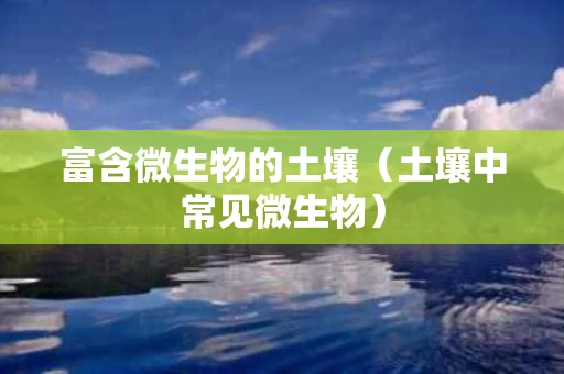 富含微生物的土壤（土壤中常见微生物）