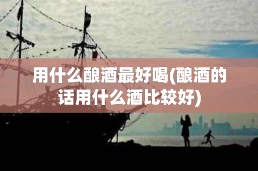 用什么酿酒最好喝(酿酒的话用什么酒比较好)