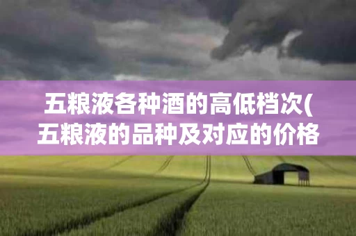 五粮液各种酒的高低档次(五粮液的品种及对应的价格)