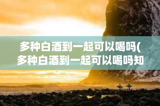 多种白酒到一起可以喝吗(多种白酒到一起可以喝吗知乎)